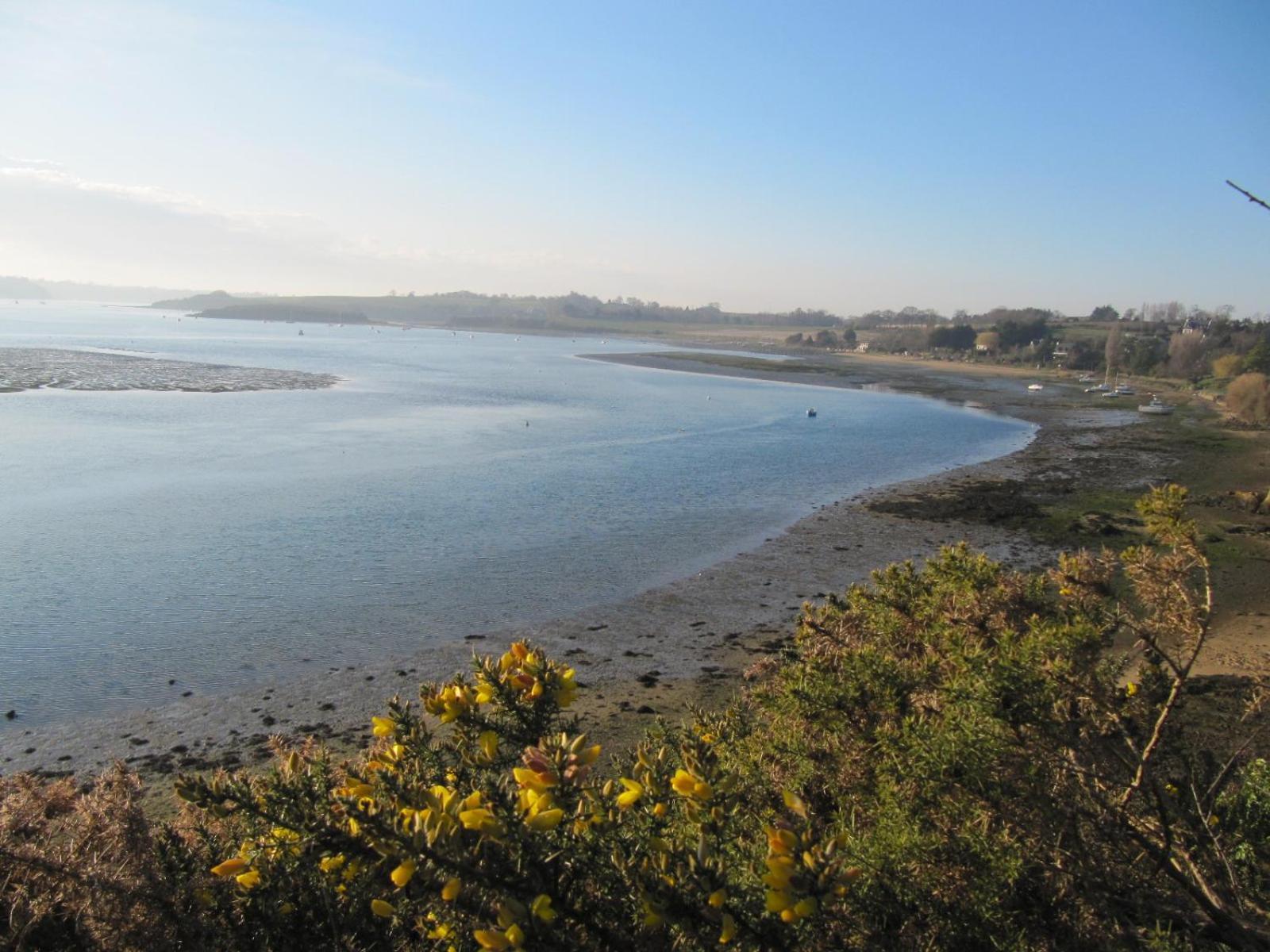 Les Cles Du Vallion, T2 Confort, Bord De Plage Et Paysages 圣茹安·德斯·盖尔 外观 照片